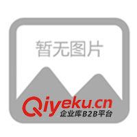 廠家現(xiàn)貨直銷精密針規(guī) 大規(guī)格針規(guī)